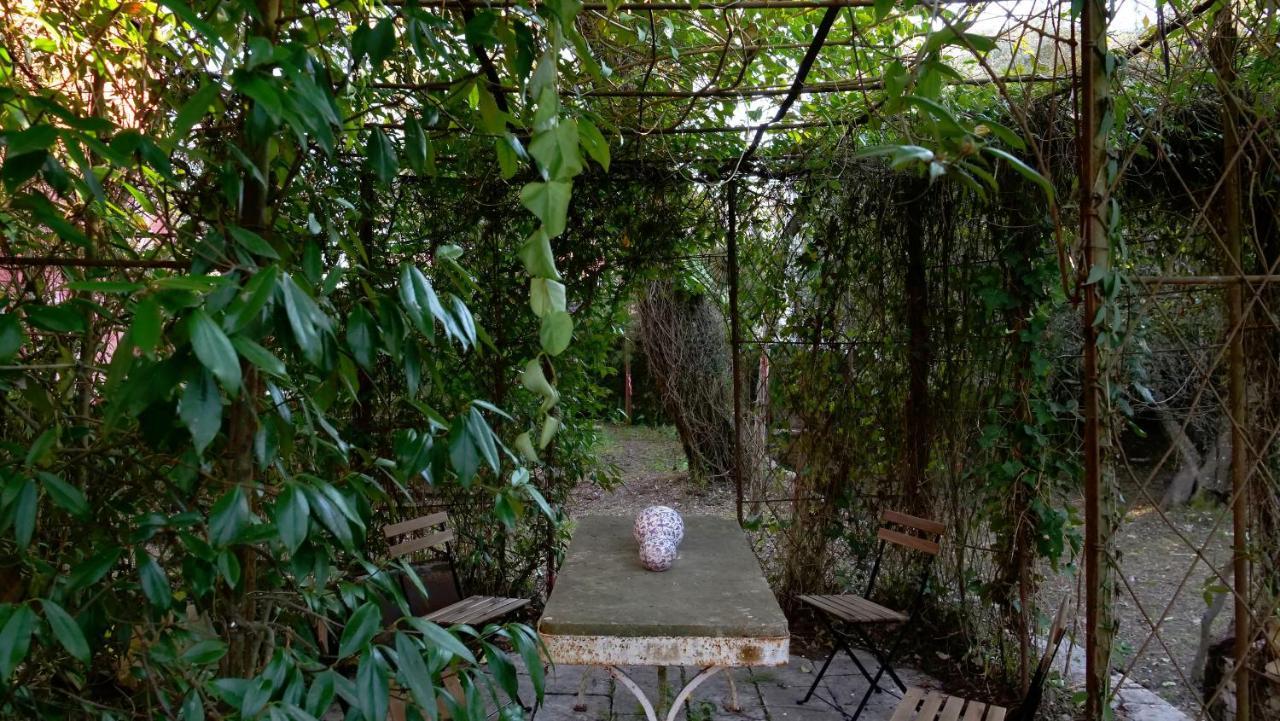 Heron'S Path I Análipsis Extérieur photo