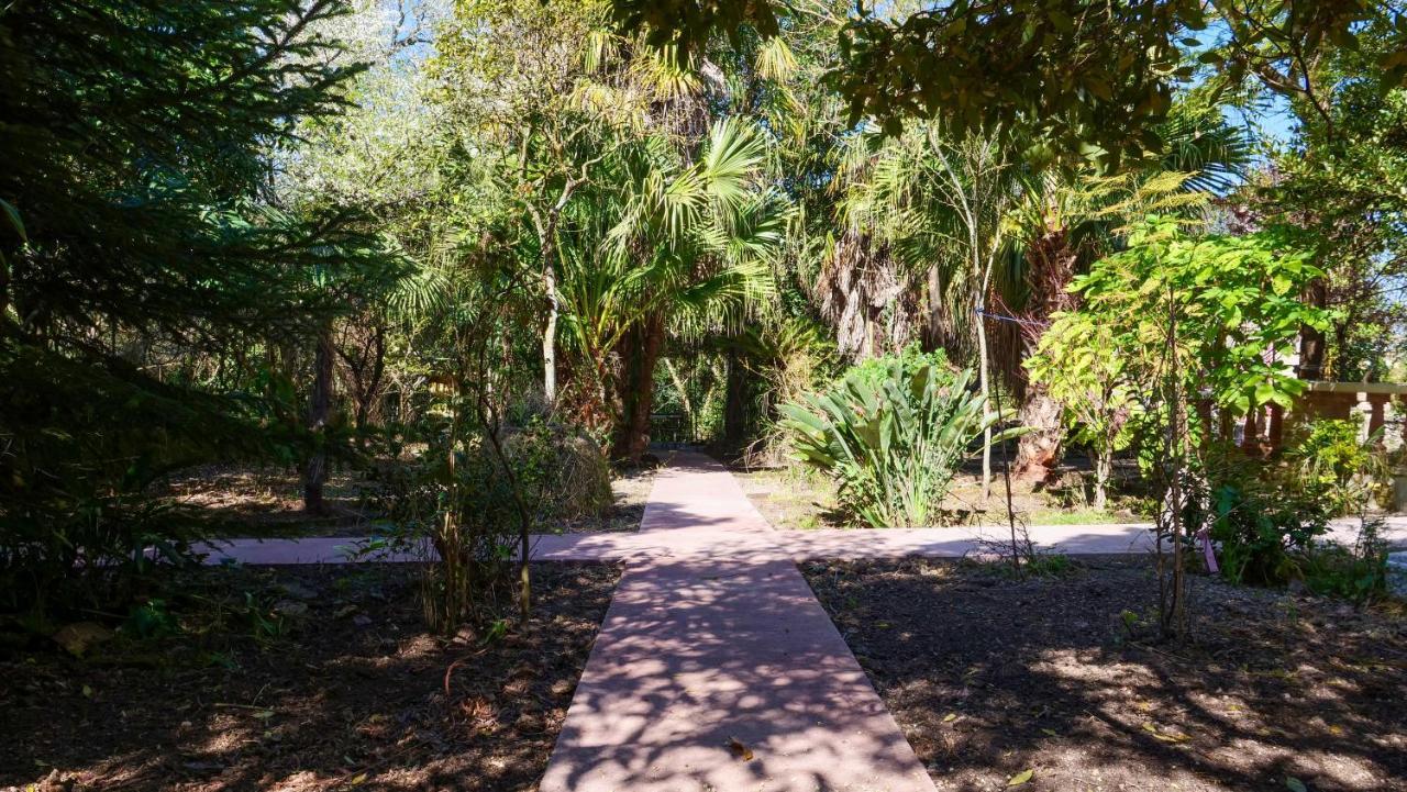 Heron'S Path I Análipsis Extérieur photo